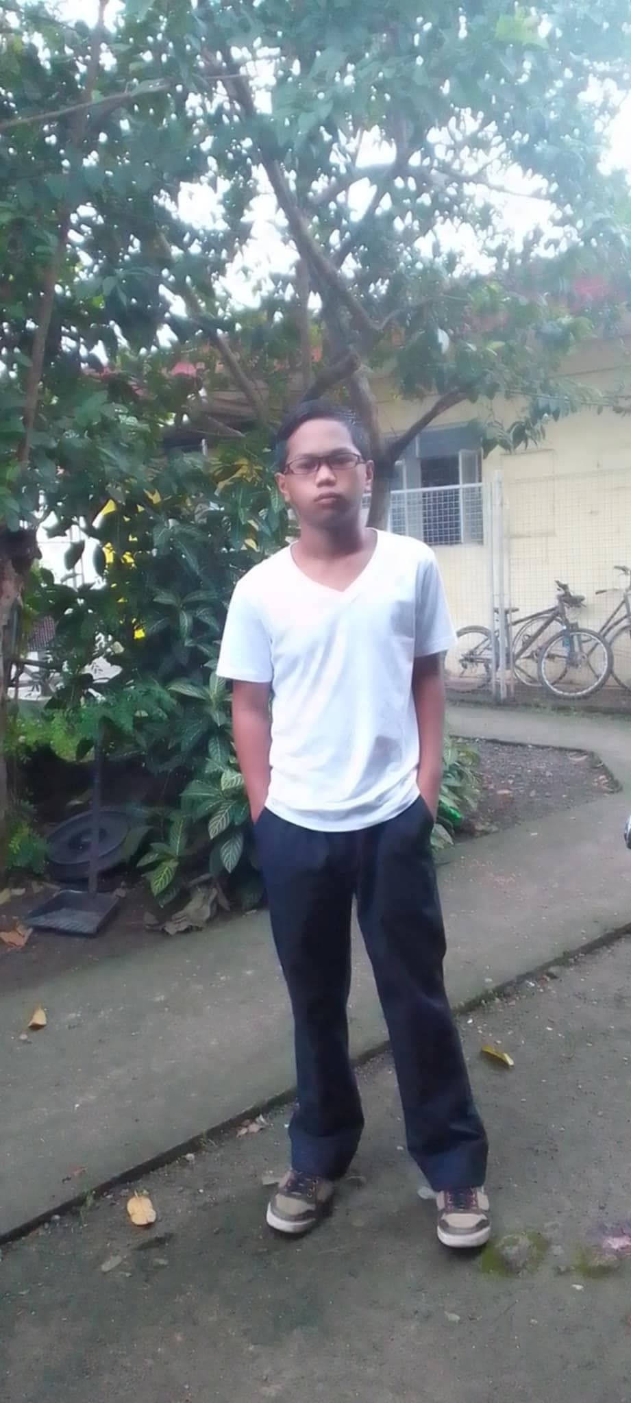 Sesno, Vince Darren